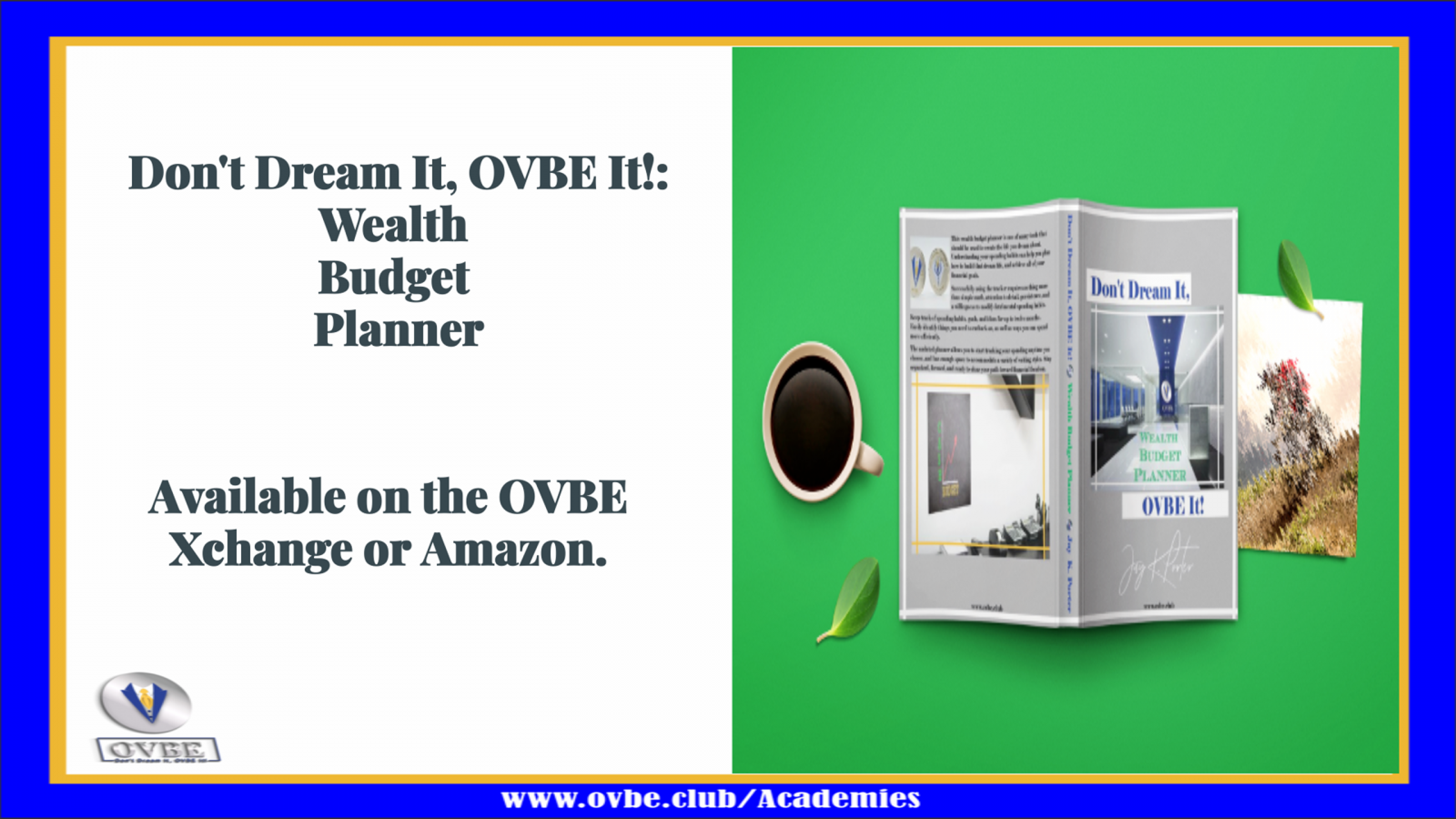 Saving Money With The OVBE Wealth Budget Planner