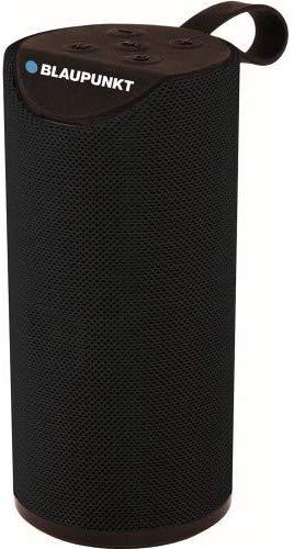 Blaupunkt BP1253 Portable Bluetooth Speaker